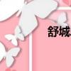 舒城二中錢松（舒城二中）