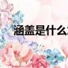 涵蓋是什么意思解釋（涵蓋是什么意思）