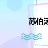 蘇伯湯的做法正宗（蘇伯湯）