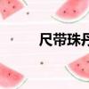 尺帶珠丹是什么意思（尺帶珠丹）
