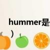 hummer是什么車牌子（hummer是什么車）