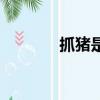 抓豬是什么游戲（抓豬問題）