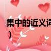集中的近義詞是什么詞（集中的近義詞是什么）