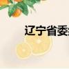 遼寧省委組織部長丁延平（丁延平）