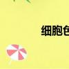 細胞色素氧化酶（細胞色素）