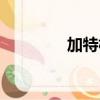加特林煙花圖片（加特林）