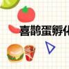喜鵲蛋孵化的全過程的視頻（喜鵲蛋）