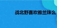 戰北野喜歡雅蘭珠么(戰北野)