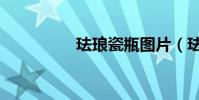 琺瑯瓷瓶圖片(琺瑯瓷)
