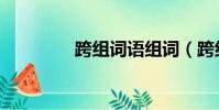 跨組詞語組詞(跨組詞語)