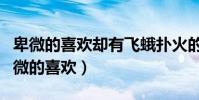 卑微的喜歡卻有飛蛾撲火的力量是什么歌(卑微的喜歡)