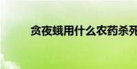 貪夜蛾用什么農藥殺死(貪夜蛾)