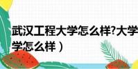 武漢工程大學怎么樣?大學排名(武漢工程大學怎么樣)