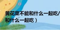 黃花菜不能和什么一起吃/同吃(黃花菜不能和什么一起吃)