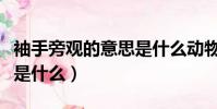 袖手旁觀的意思是什么動物(袖手旁觀的意思是什么)