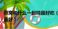 燕窩和什么一起燉最好吃(燕窩和什么一起燉最好)