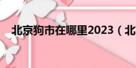北京狗市在哪里2023(北京狗市在哪里)