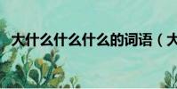 大什么什么什么的詞語(大什么什么什么)