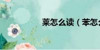萊怎么讀(苯怎么讀)