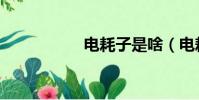 電耗子是啥(電耗子)