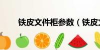 鐵皮文件柜參數(鐵皮文件柜價格)