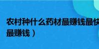 農村種什么藥材最賺錢最快(農村種什么藥材最賺錢)