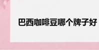 巴西咖啡豆哪個牌子好(巴西咖啡)