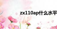 zx110ap什么水平(zx1)