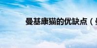 曼基康貓的優缺點(曼基康貓)