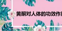 黃酮對人體的功效作用(黃酮)