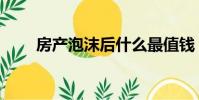 房產泡沫后什么最值錢(房產泡沫)