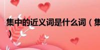 集中的近義詞是什么詞(集中的近義詞是什么)