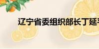 遼寧省委組織部長丁延平(丁延平)