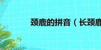 頸鹿的拼音(長頸鹿的拼音)
