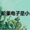 松果電子是小米和哪家企業合作（松果電子）