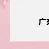 廣東2B學校（廣東2b）