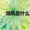 哦吼是什么意思粵語（哦吼是什么意思）