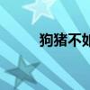 狗豬不如指的是哪肖（豬狗不如）