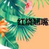 紅燒翹嘴魚的做法（翹嘴魚的做法）