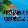 蝶豆花的功效與作用及禁忌是什么（蝶豆花的功效與禁忌）