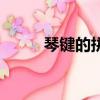 琴鍵的拼音和意思（琴鍵的拼音）