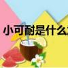 小可耐是什么意思男生（小可耐是什么意思）