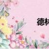 德林杰雙管槍（德林杰）