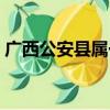 廣西公安縣屬于哪個市（公安縣屬于哪個市）