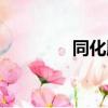 同化順模擬炒股（同化順）