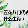 五花八門代表什么生肖最合適（五花八門代表什么生肖）