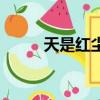 天是紅塵岸百度云（天是紅塵岸）