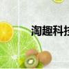 淘趣科技有限公司（淘趣168網）