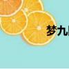 夢九隊場均數據（夢九隊）