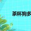茶杯狗多少錢1個（茶杯狗多少錢）